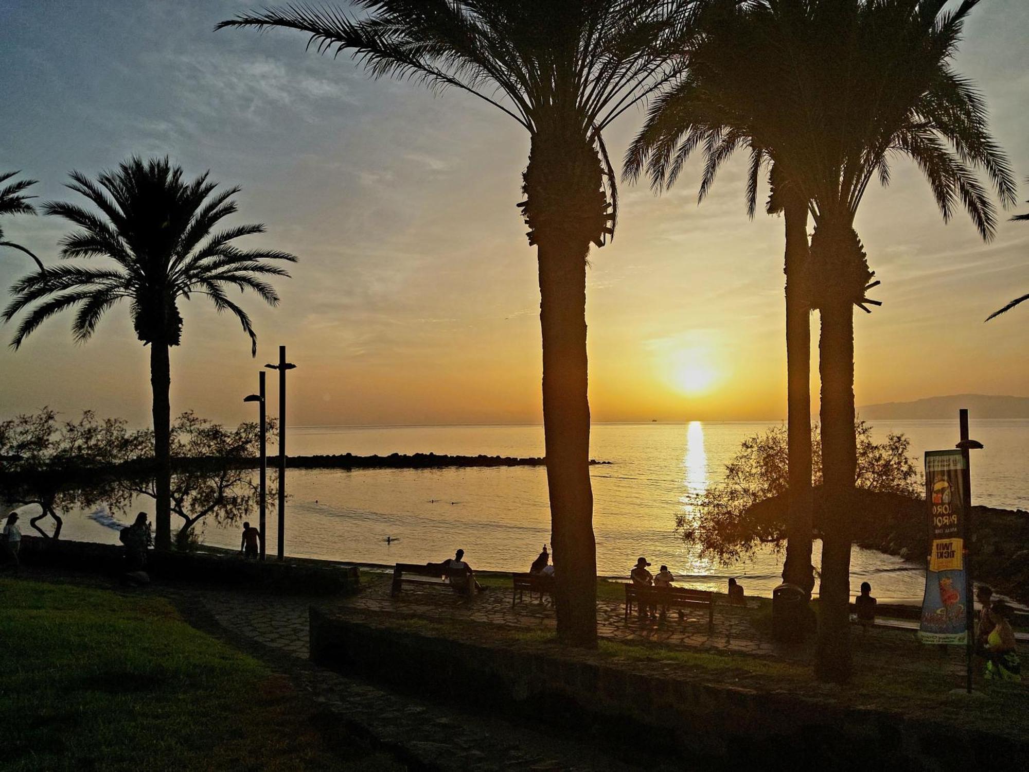 Апартаменти Under The Palm Плайя-де-лас-Амерікас Екстер'єр фото