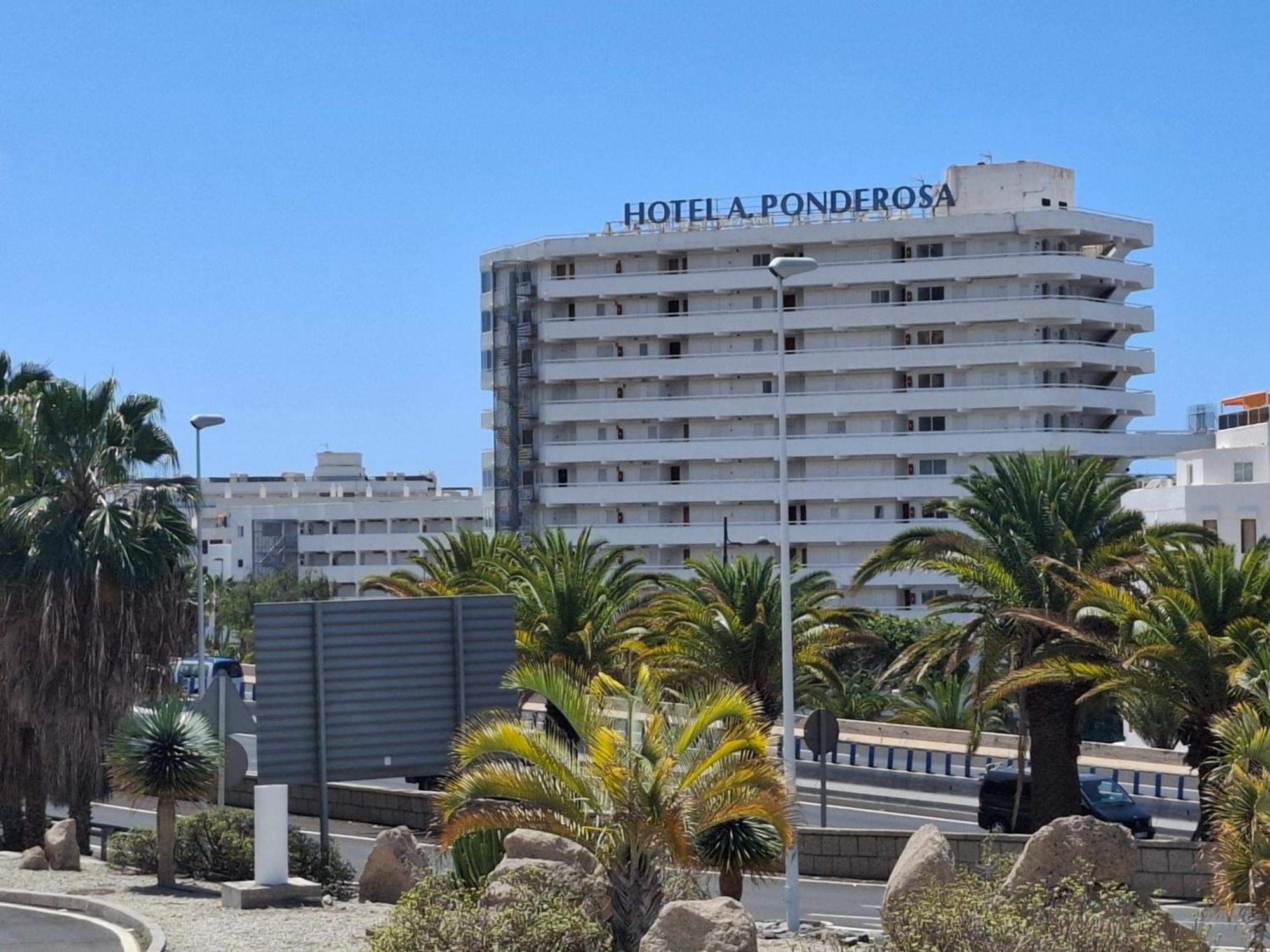 Апартаменти Under The Palm Плайя-де-лас-Амерікас Екстер'єр фото
